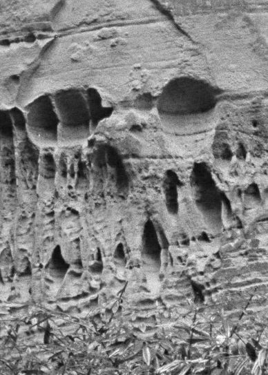 Ghost Strata
