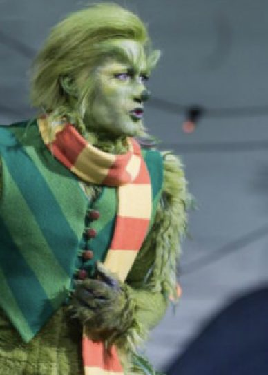 Dr Seuss the Grinch Musical