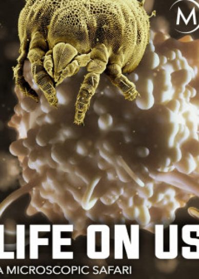 Life on Us: A Microscopic Safari