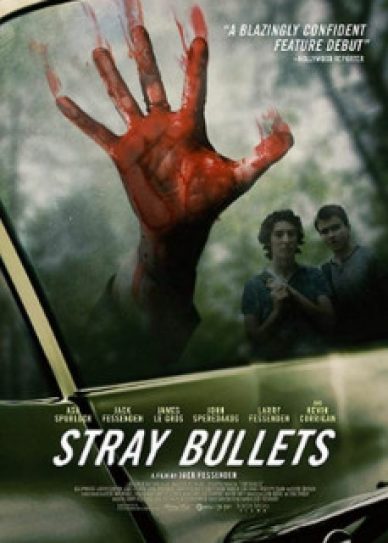 Stray Bullets