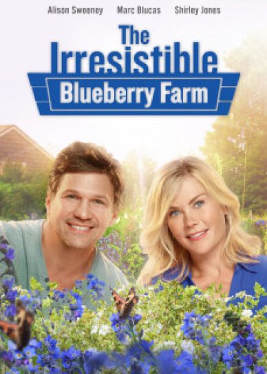 The Irresistible Blueberry Farm