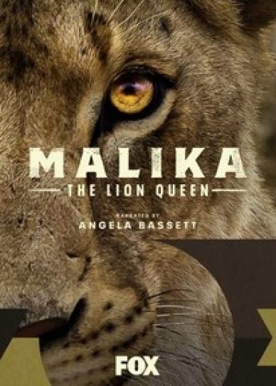 Malika the Lion Queen