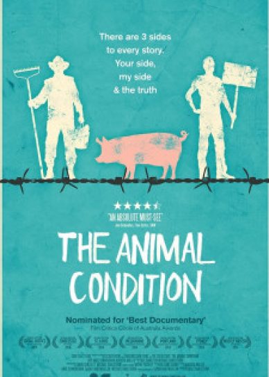 The Animal Condition