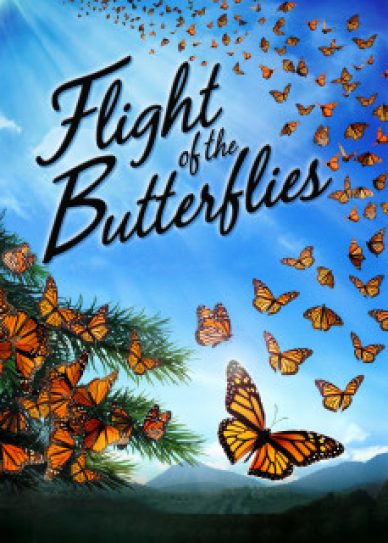 Flight of the Butterflies