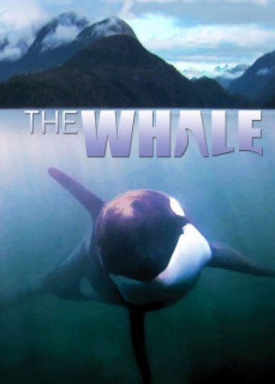 The Whale