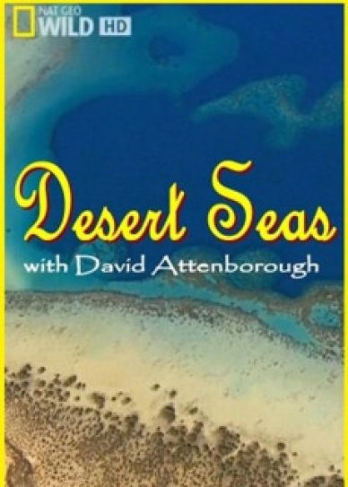 Desert Seas