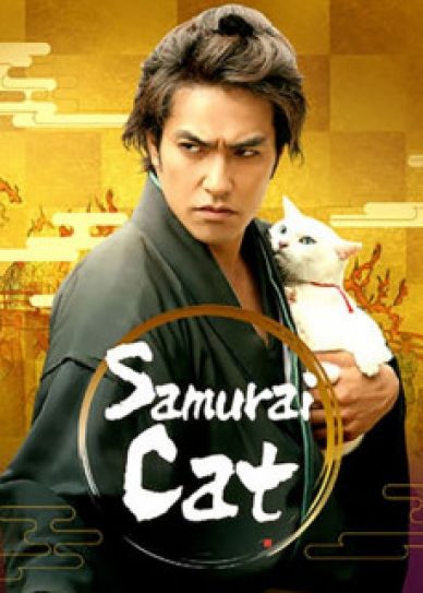 Samurai Cat