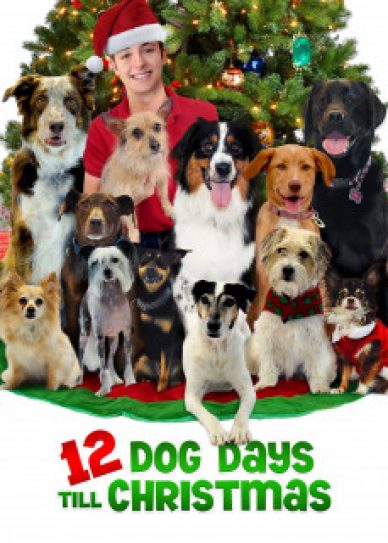 12 Dog Days Till Christmas