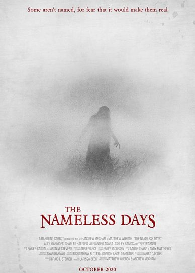 The Nameless Days