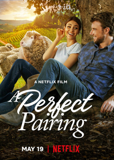 Watch A Perfect Pairing (2022) Full Movie on Filmxy