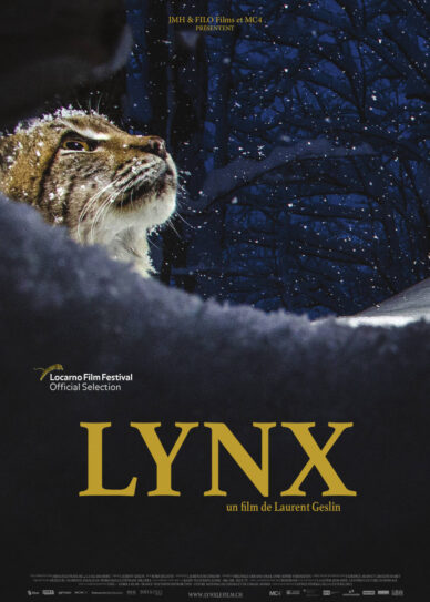 Lynx